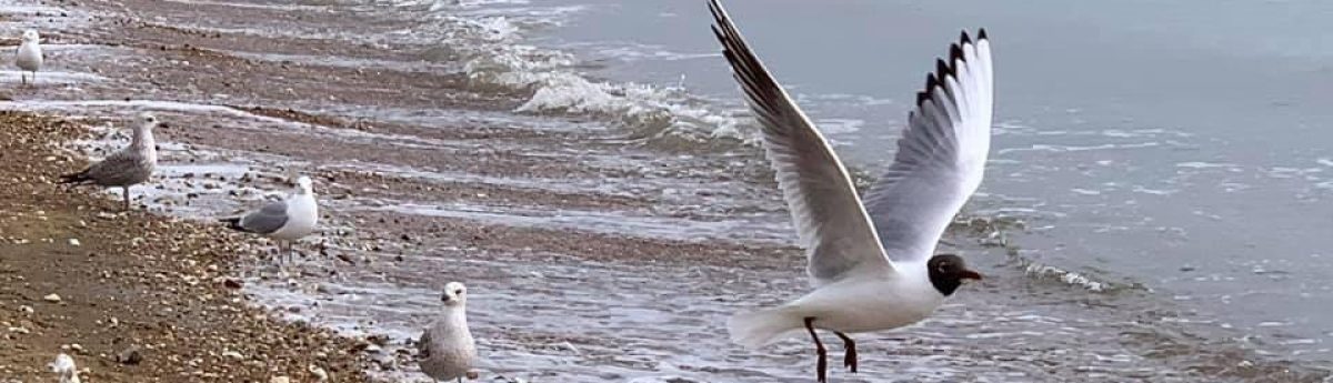 Moving on to Bembridge